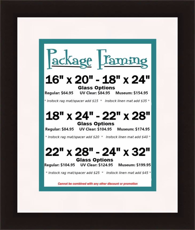 packageframingdeal Calhoun Beach Framing